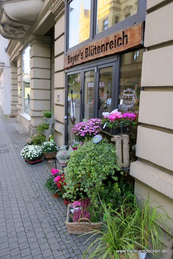 Beyers Blütenreich im Steinweg in Halle (Saale).