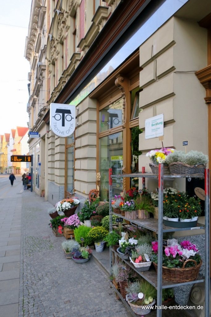 Hallenser Blumen im Steinweg in Halle (Saale).