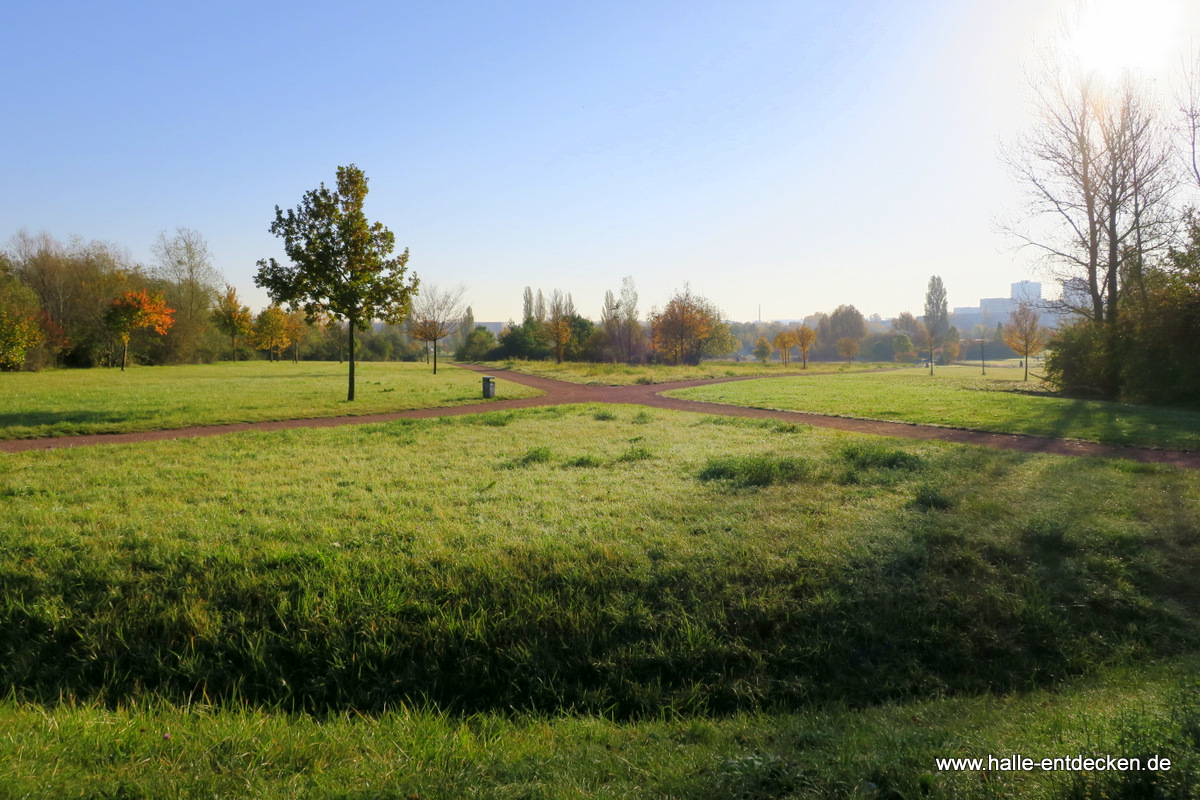 Blick nach Neustadt und Innenstadt über die Weinbergwiesen
