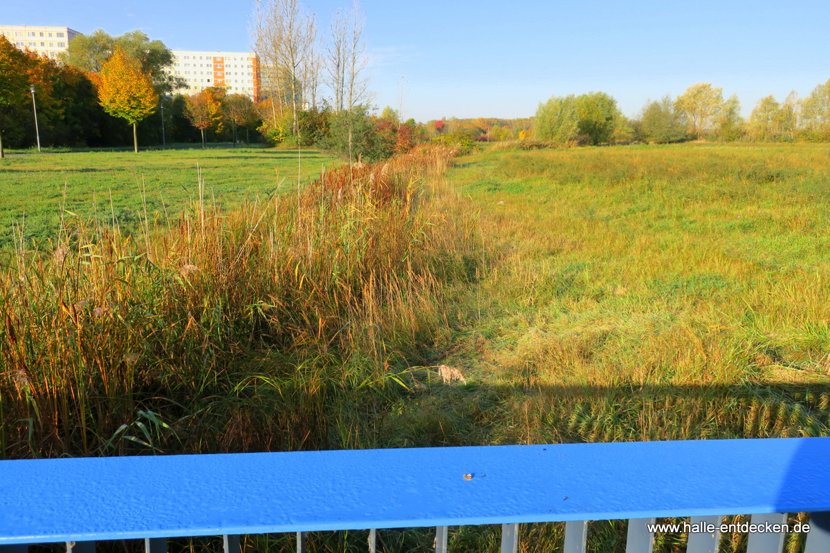 Der Saugraben mit Blick in Richtung Nietleben und die Lise-Meitner-Straße