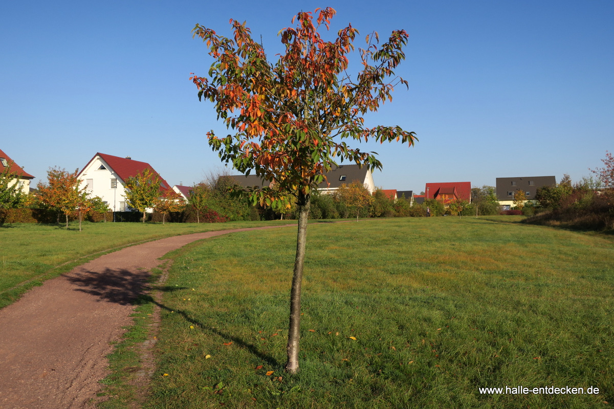 Herbstimpression Heide-Süd in Halle (Saale)