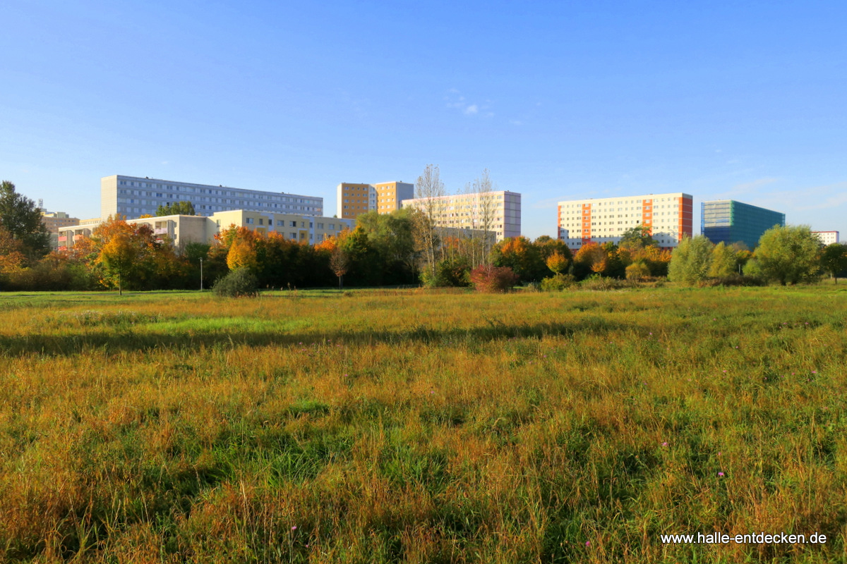 Blick in Richtung Hallorenstraße und Lise-Meitner-Straße
