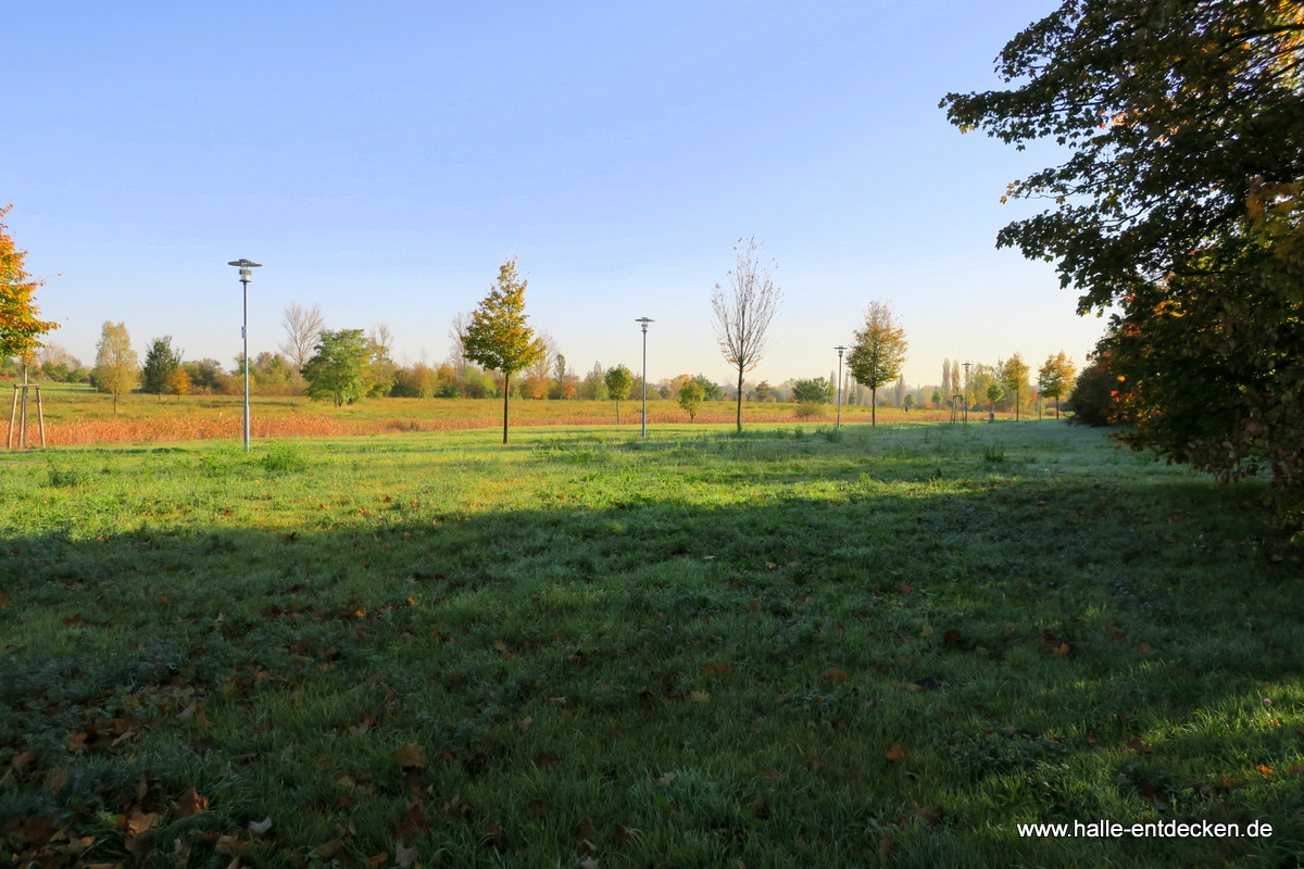 Herbststimmung in den Weinbergwiesen
