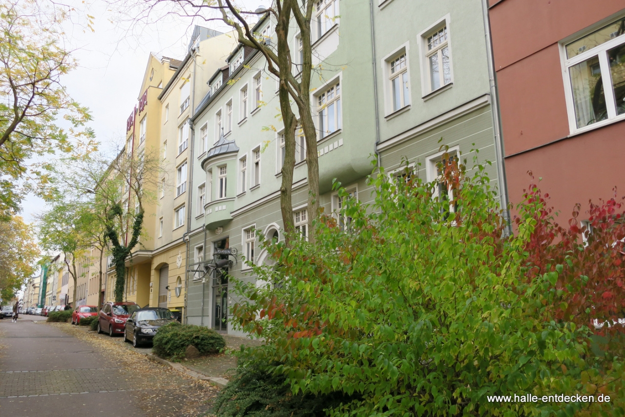 Blick in die Emil-Abderhalden-Straße