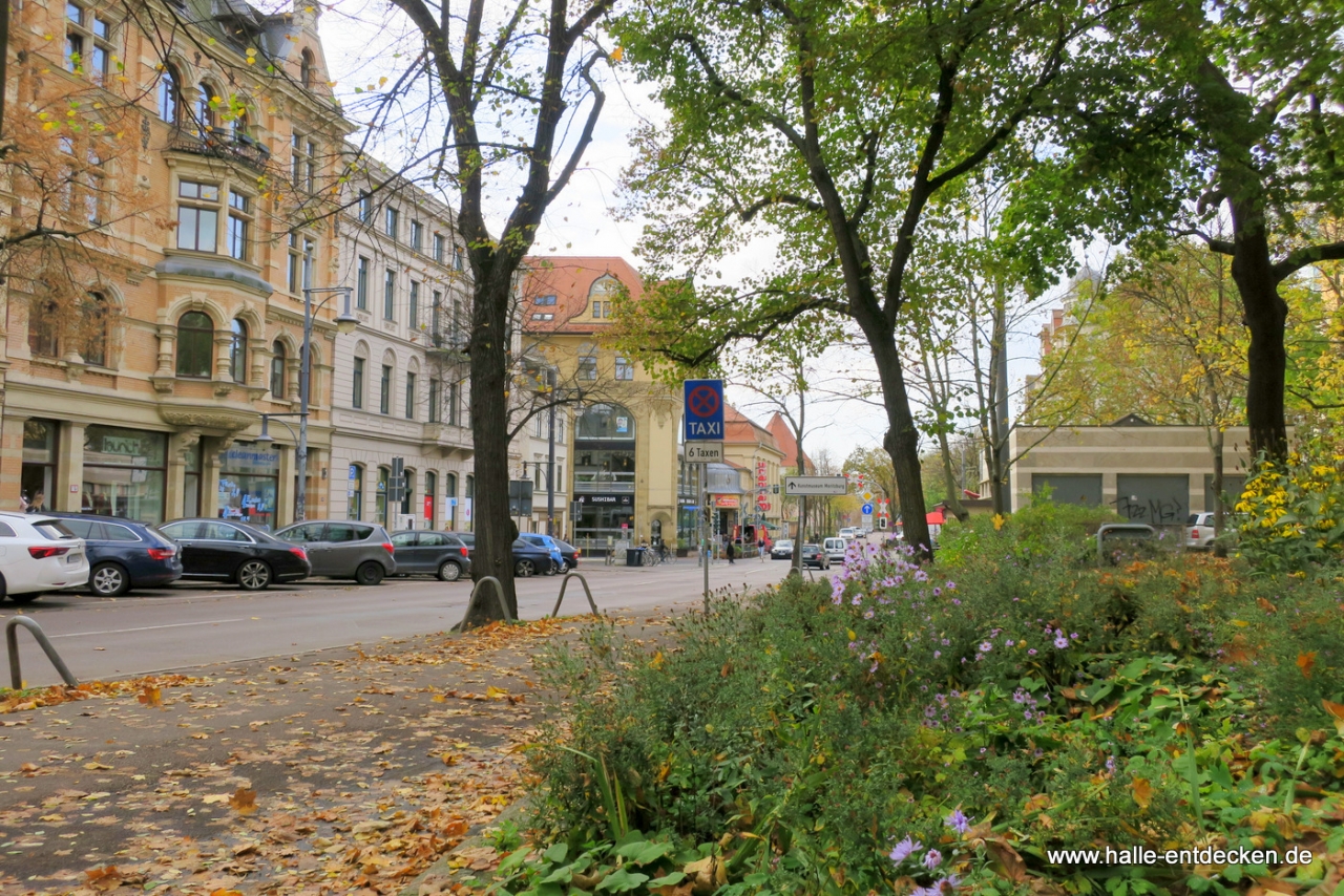 Noch einmal Blick zur Großen Ulrichstraße