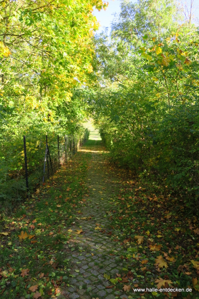 Nahe der Otto-Eißfeldt-Straße in Halle, mit Blick zu den Weinbergwiesen