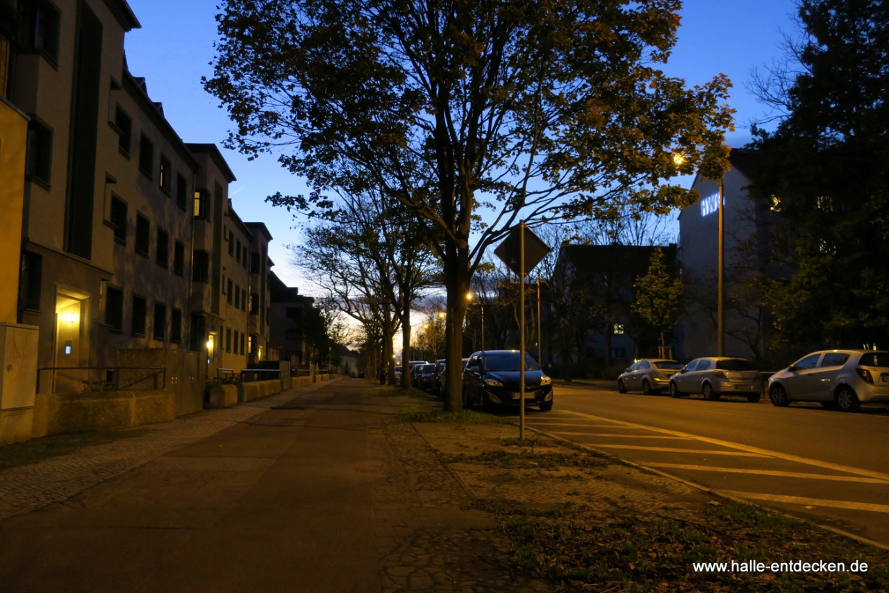 Im Herbst wird es früher dunkel. Der Landrain am Abend.