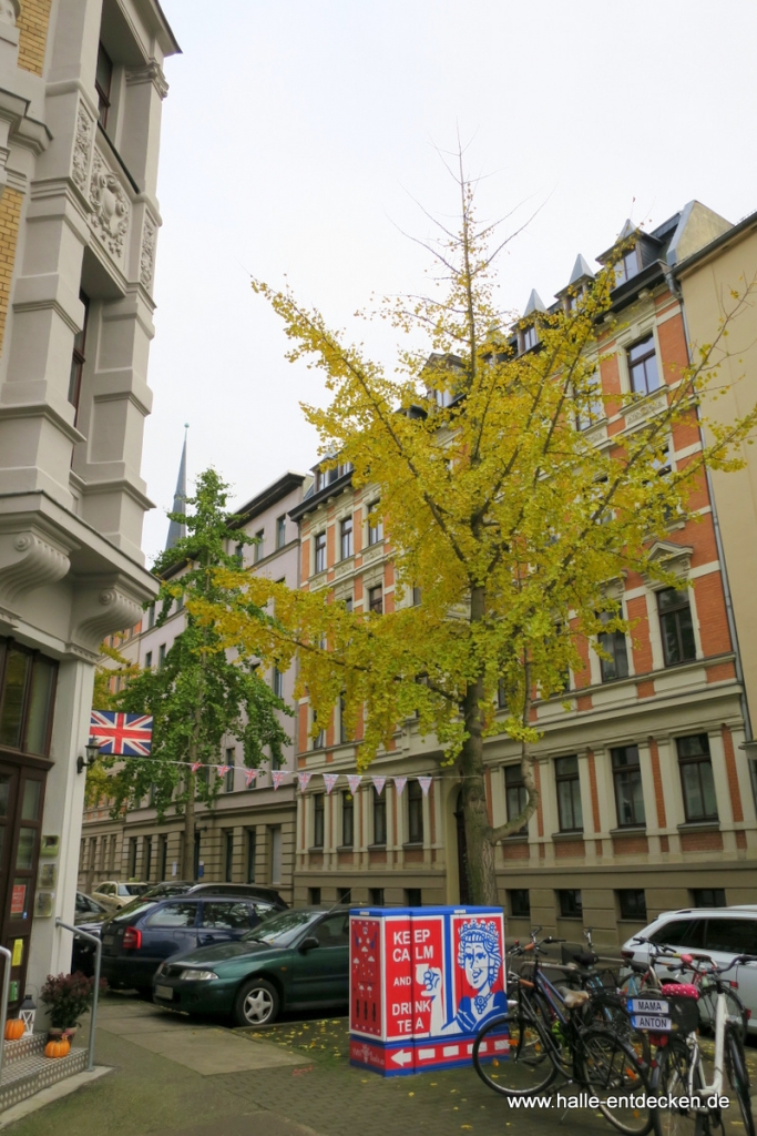 Blick um die Ecke in die Hackebornstraße.