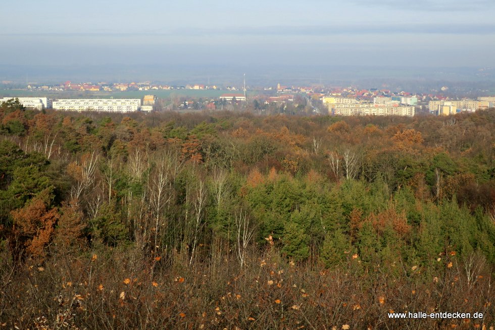 Heide-Nord und Lettin in Halle