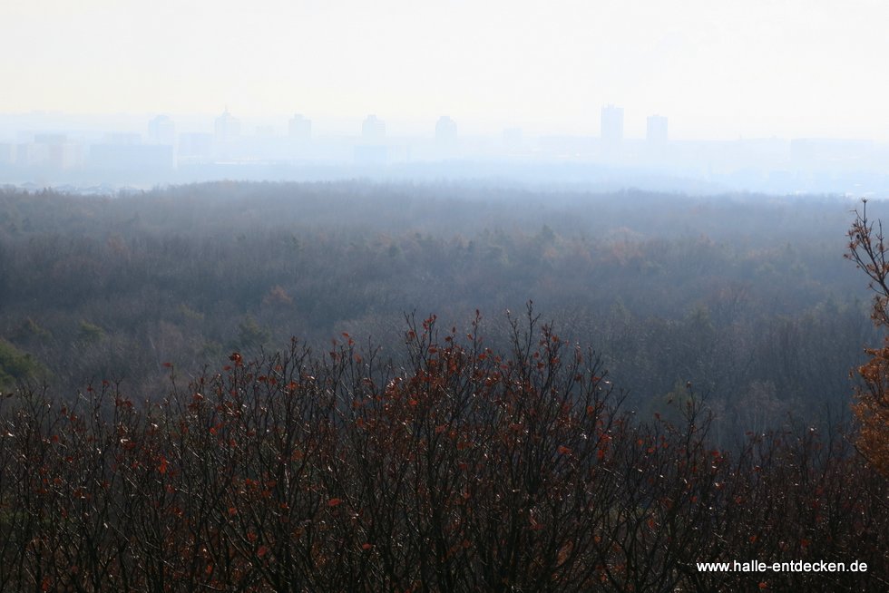 Halle-Neustadt im Nebel