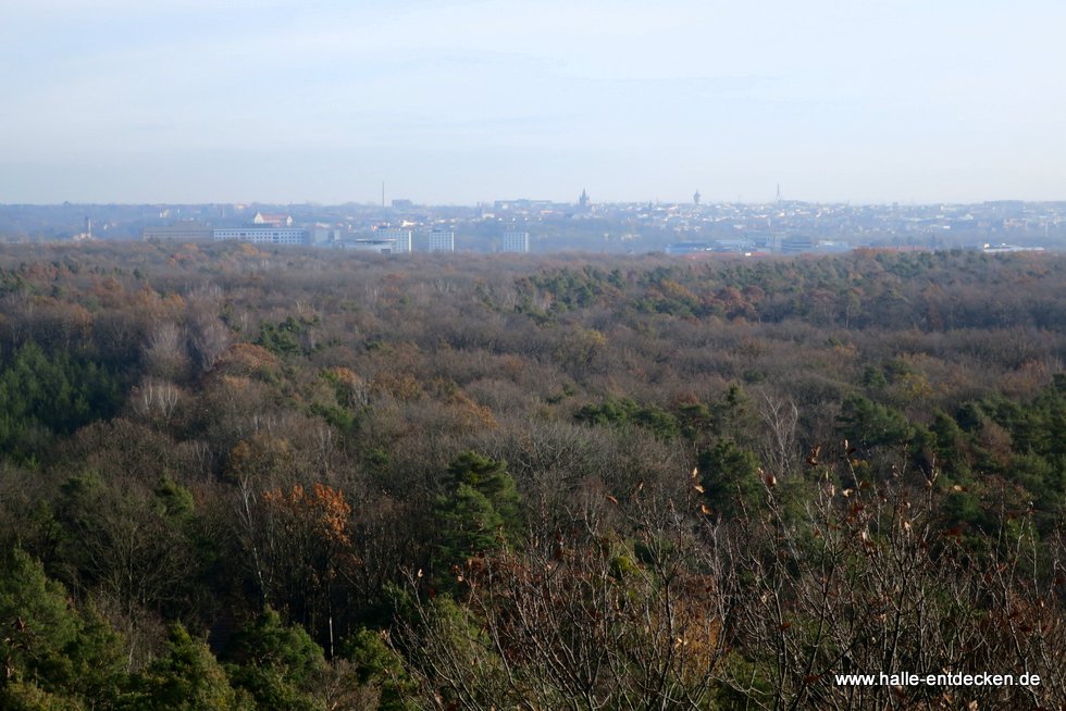 Blick zur Innenstadt bzw. Altstadt