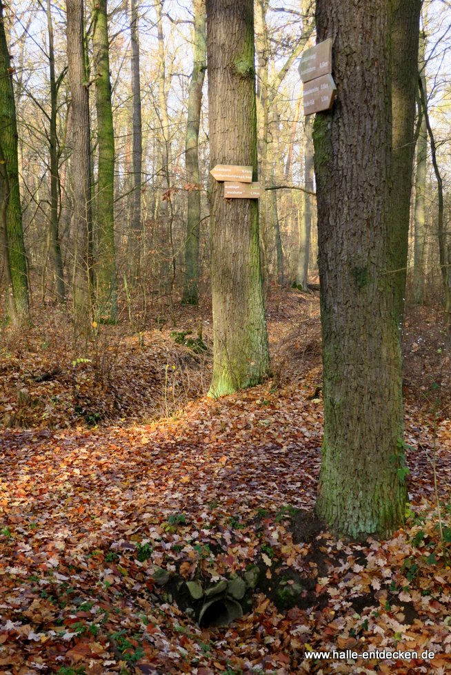 Wegweiser und Entwässerungsgraben, Halle (Saale)