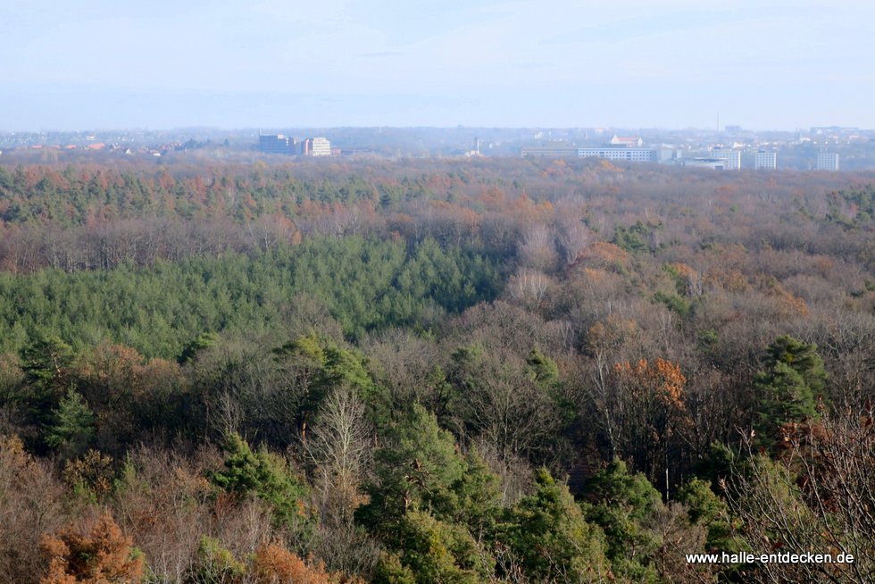 Blick in Richtung Kröllwitz, Halle (Saale)