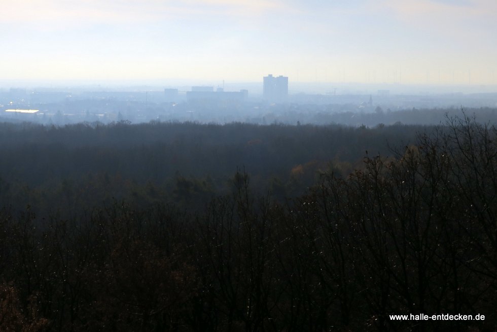 Halle-Neustadt im Nebel