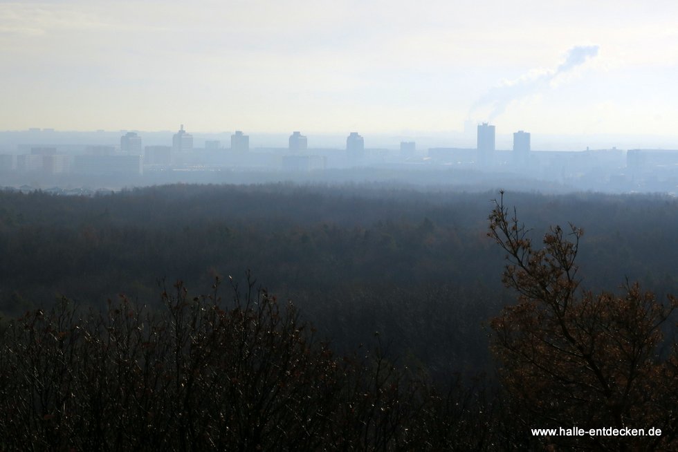 Halle-Neustadt im Nebel