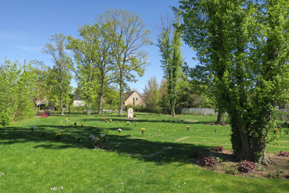 Eine Wiese auf dem Gertraudenfriedhof.