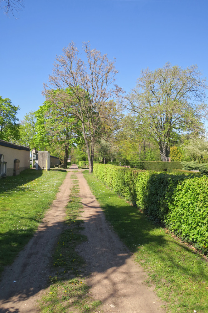 Ein Weg auf dem Gertraudenfriedhof.