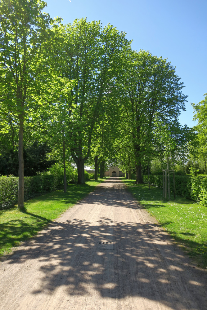 Kastanien auf dem Gertraudenfriedhof.