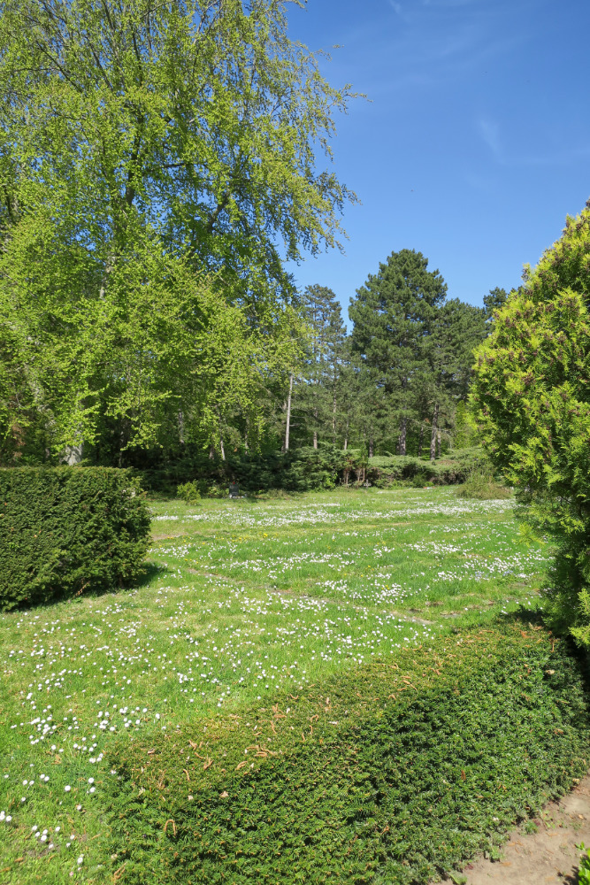 Blumen auf dem Gertraudenfriedhof.