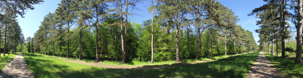 Panorama vom Gertraudenfriedhof.