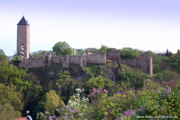 Burg Giebichenstein von Kröllwitz aus gesehen