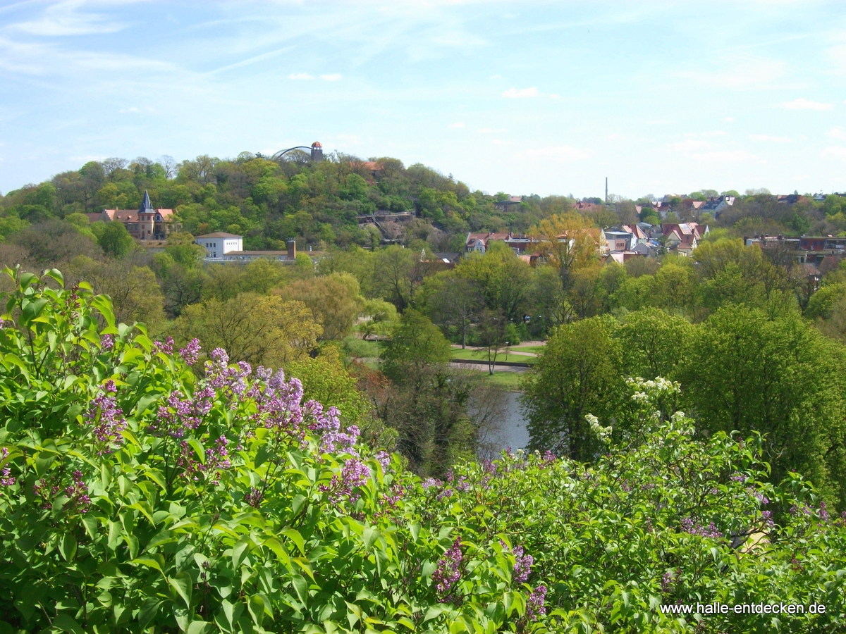 Blick zum Reilsberg mit dem Zoo Halle