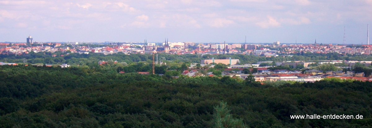 Blick vom Kolkturm über Halle (Saale) und die Dölauer Heide