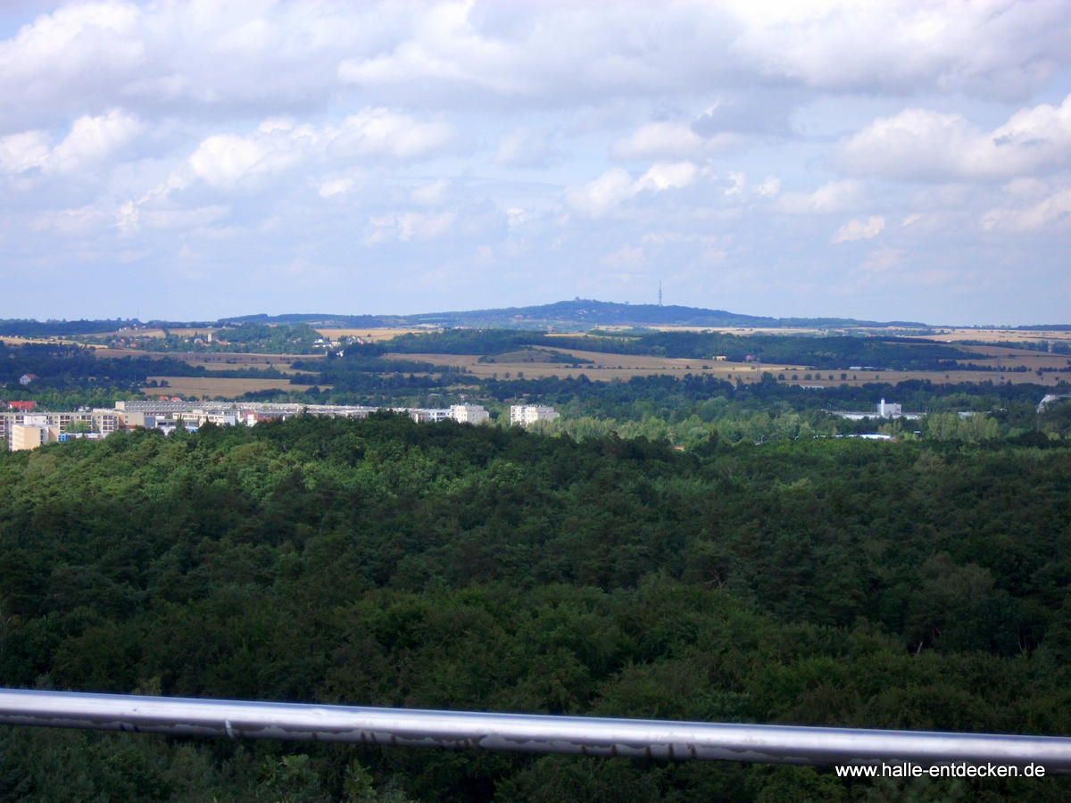 Blick vom Kolkturmberg in der Dölauer Heide zum Petersberg
