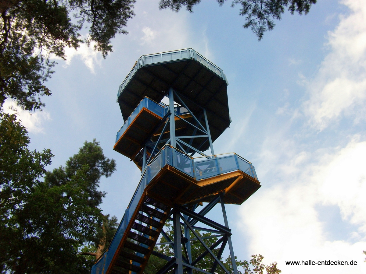 Der Kolkturm auf dem Kolkturmberg