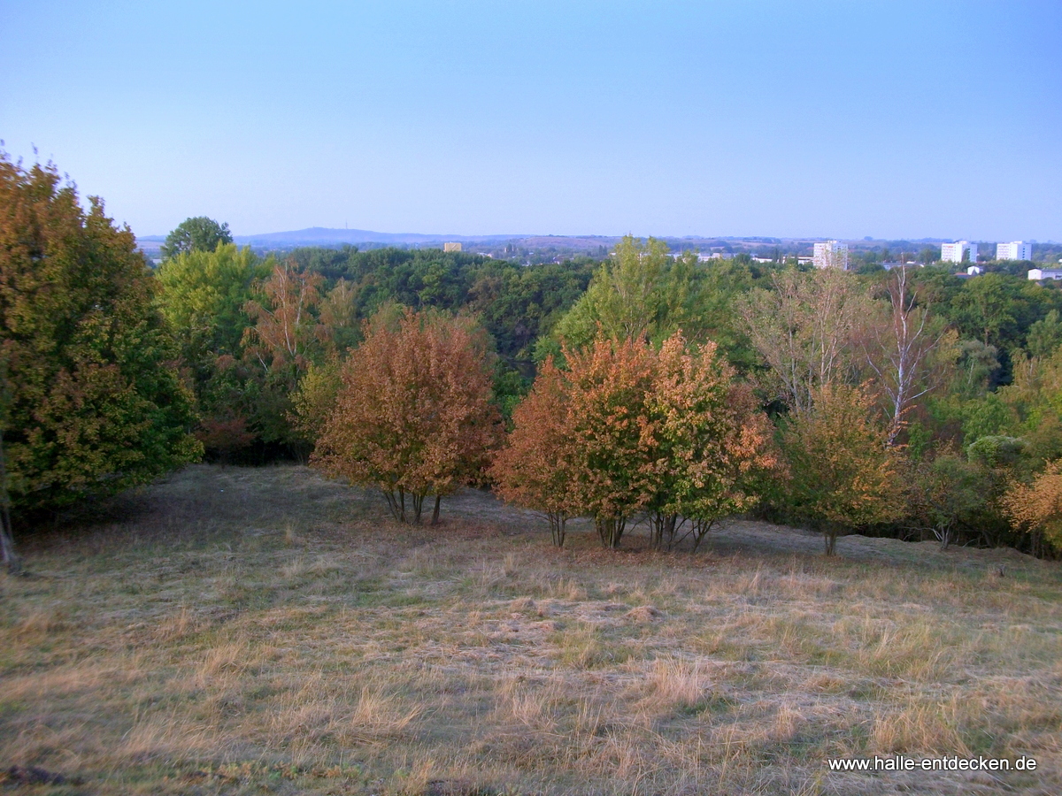 Blick vom Ochsenberg zum Petersberg