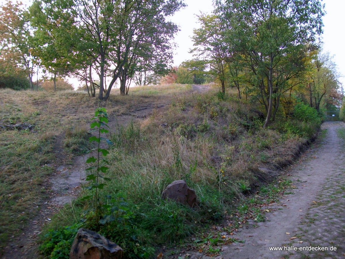 Weg zum Ochsenberg in Halle (Saale)