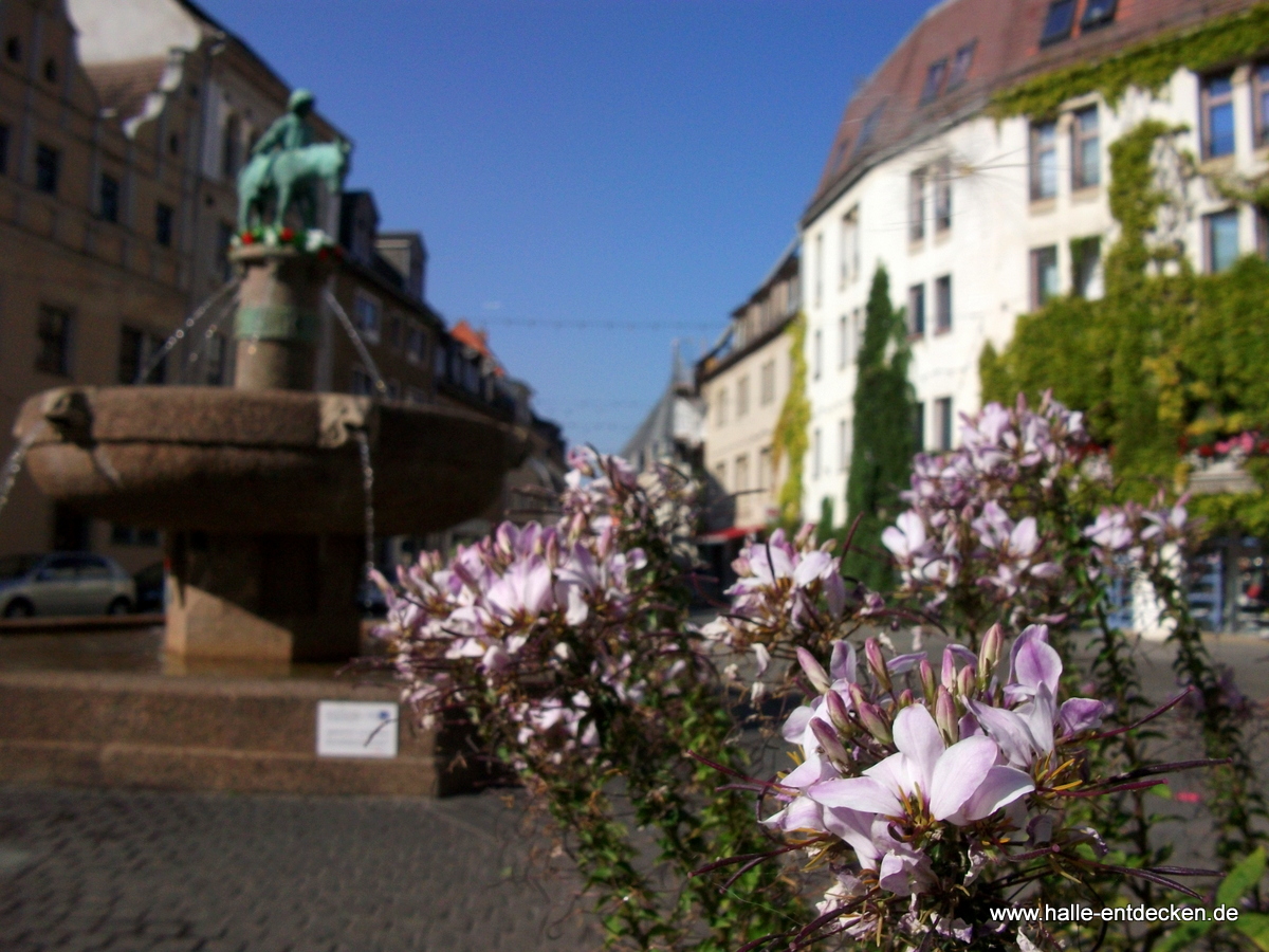 Der Eselsbrunnen auf dem Alten Markt in Halle (Saale).