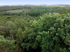 Dölauer Heide in Halle (Saale)