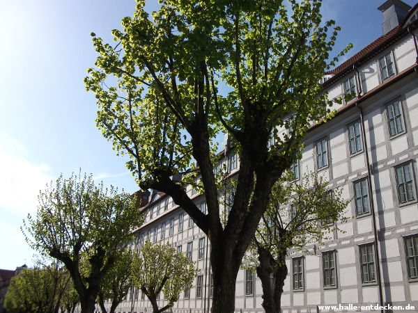 Franckesche Stiftungen Halle (Saale), Lindenhof