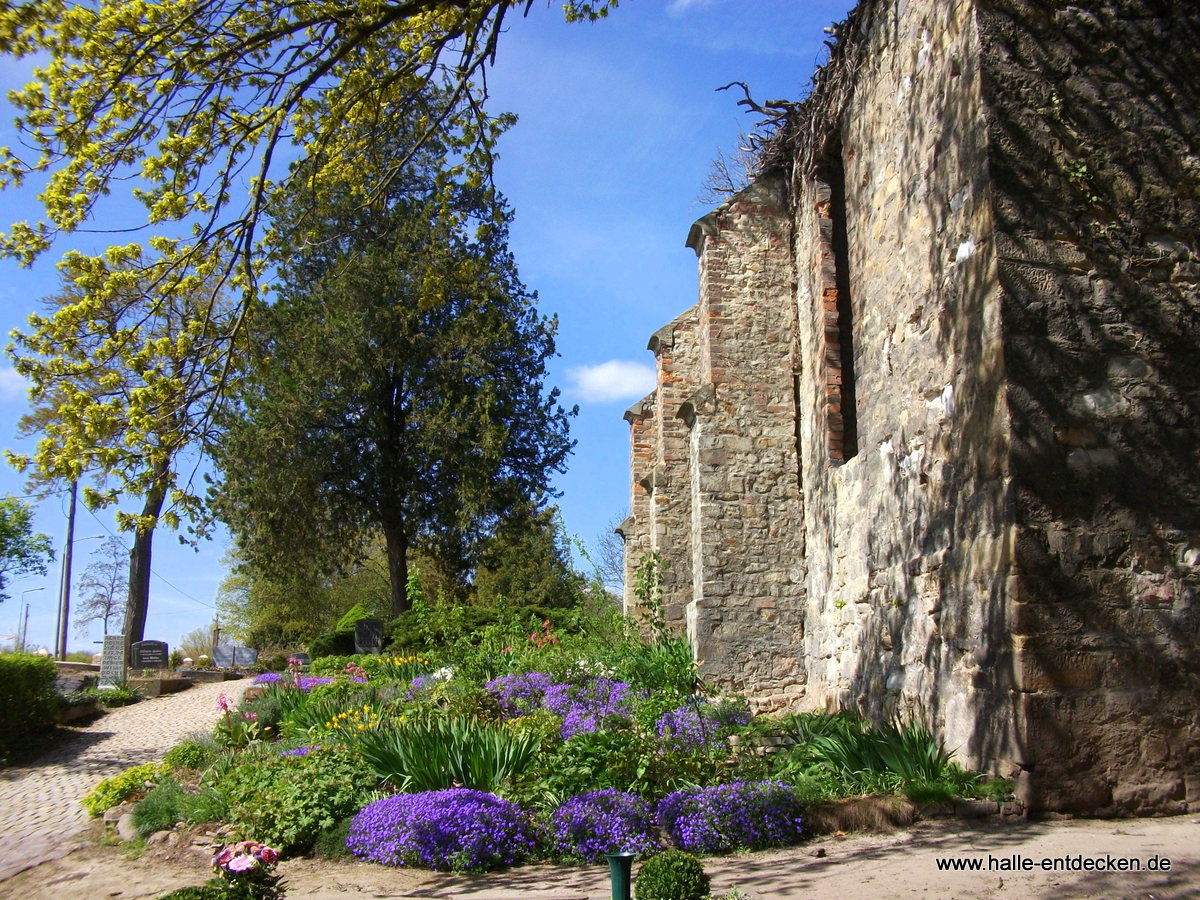 Kirchenruine in Granau, Nietleben in Halle (Saale) - Im Frühling