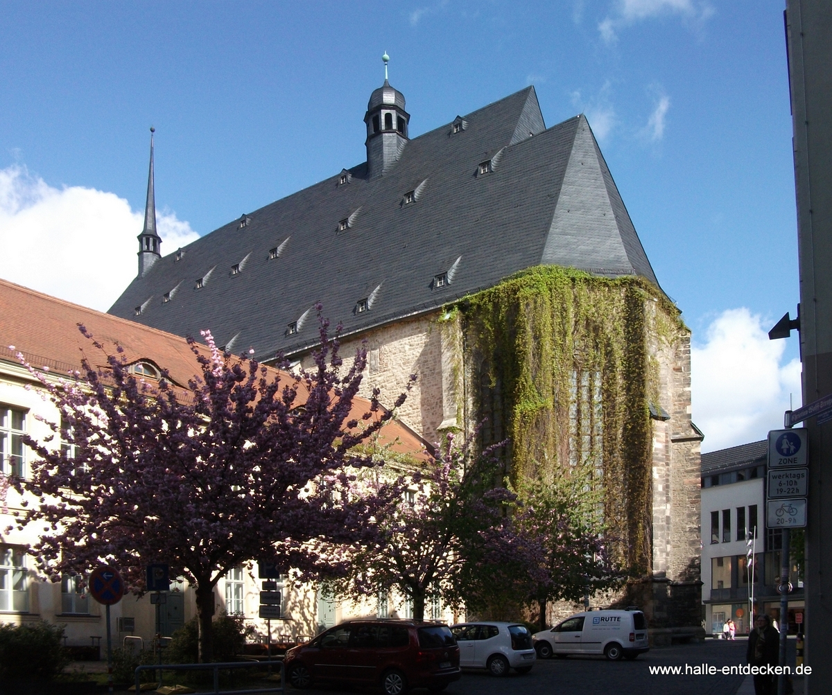 Ulrichskirche mit Kirschblüte von der Christian-Wolff-Straße gesehen.