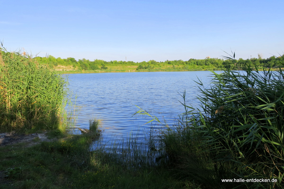 Der See am Steinbruch in Halle-Neustadt