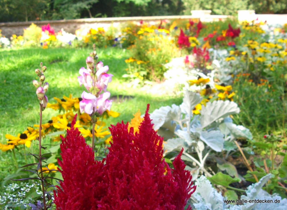 Amtsgarten Halle (Saale) - Detailaufnahme