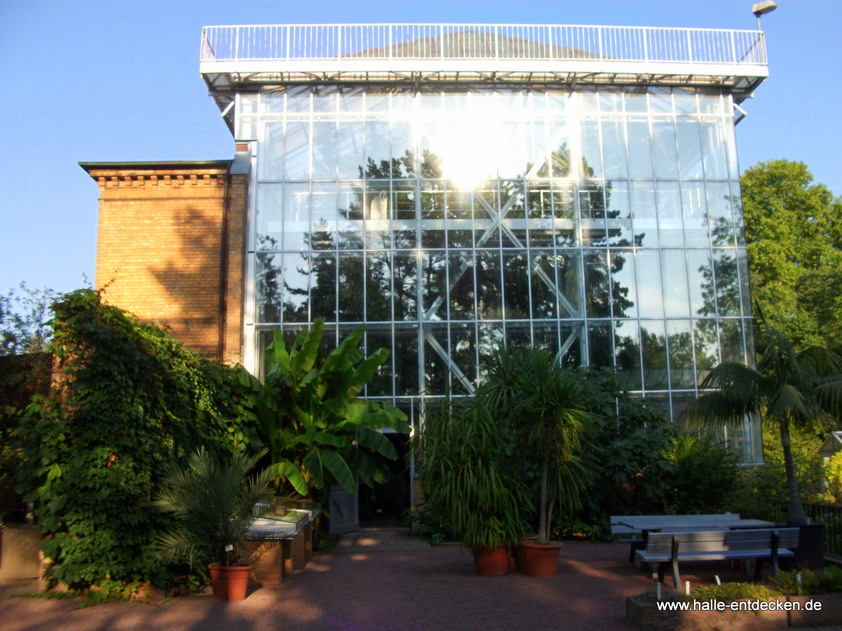 Großes Tropenhaus im Botanischen Garten Halle (Saale)