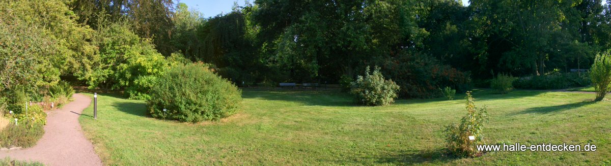 Panorama, Botanischer Garten Halle (Saale)