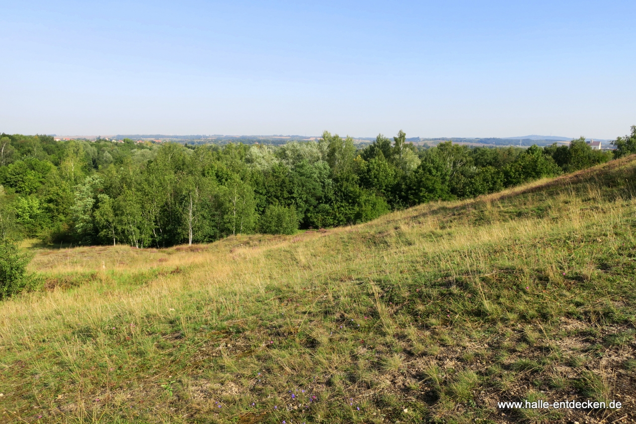 Ausblick von den Brandbergen in Halle