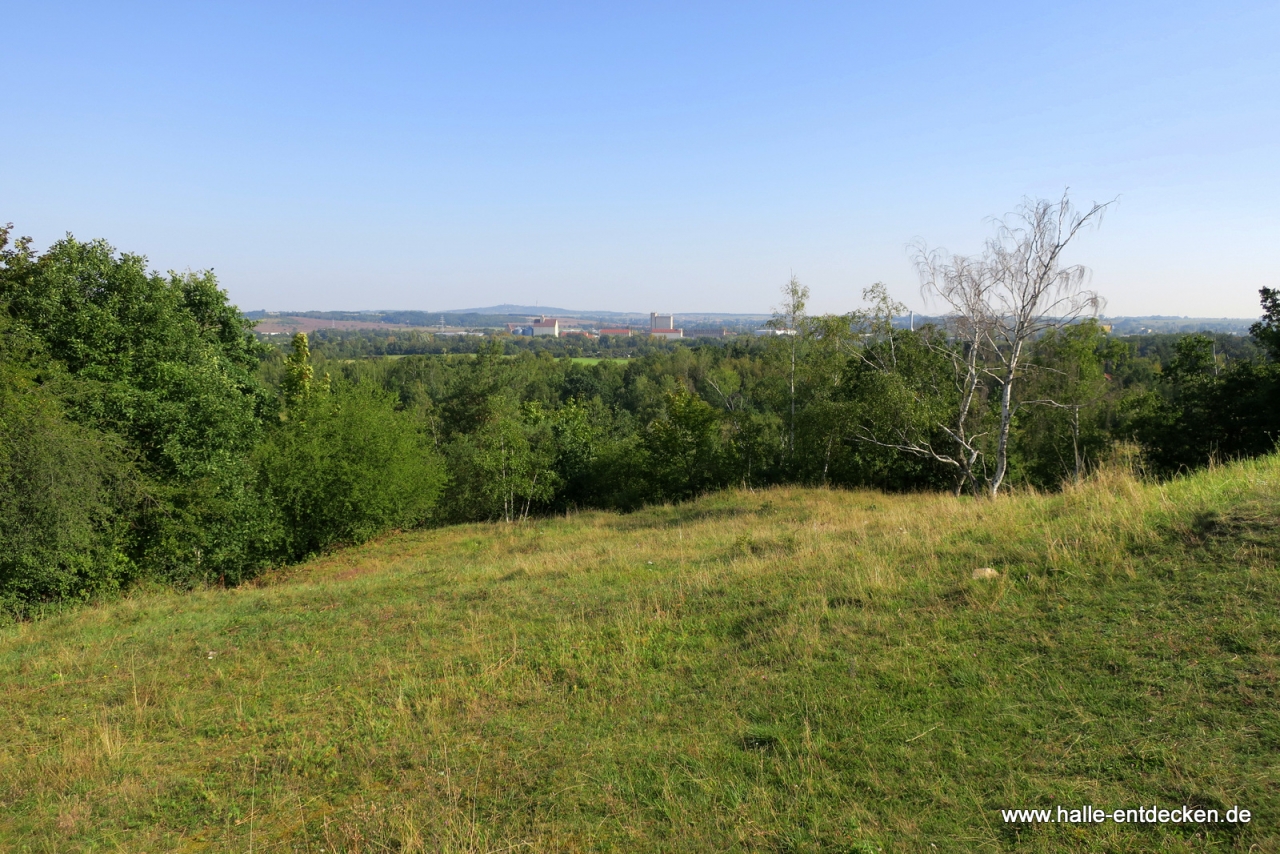 Blick nach Trotha und zum Petersberg