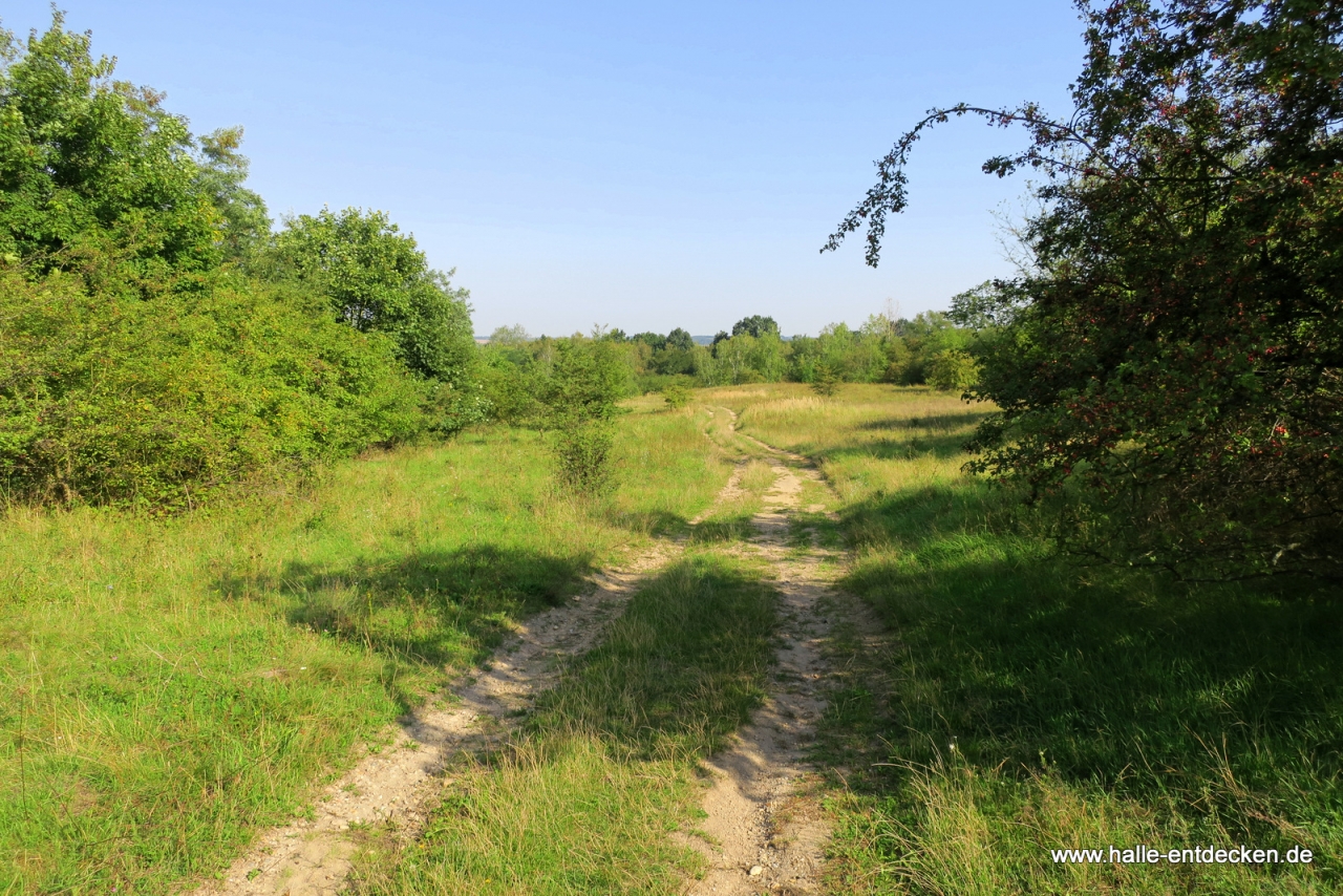 Ein Weg im Naturschutzgebiet Brandberge