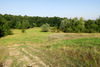 Naturschutzgebiet Brandberge in Halle (Saale)