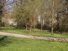 Gärten, Grünflächen & Parks in Halle (Saale)