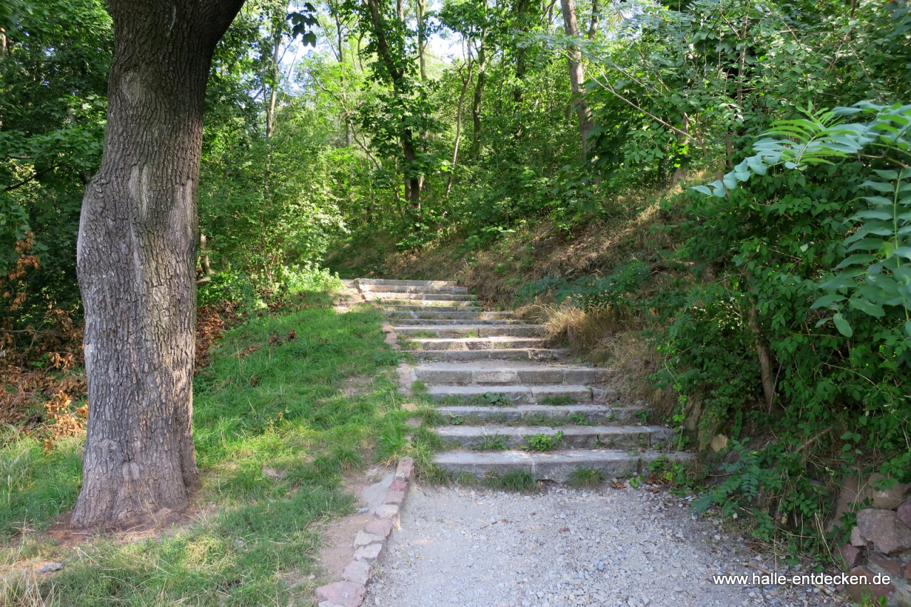 Aufstieg zum Großen Galgenberg in Halle