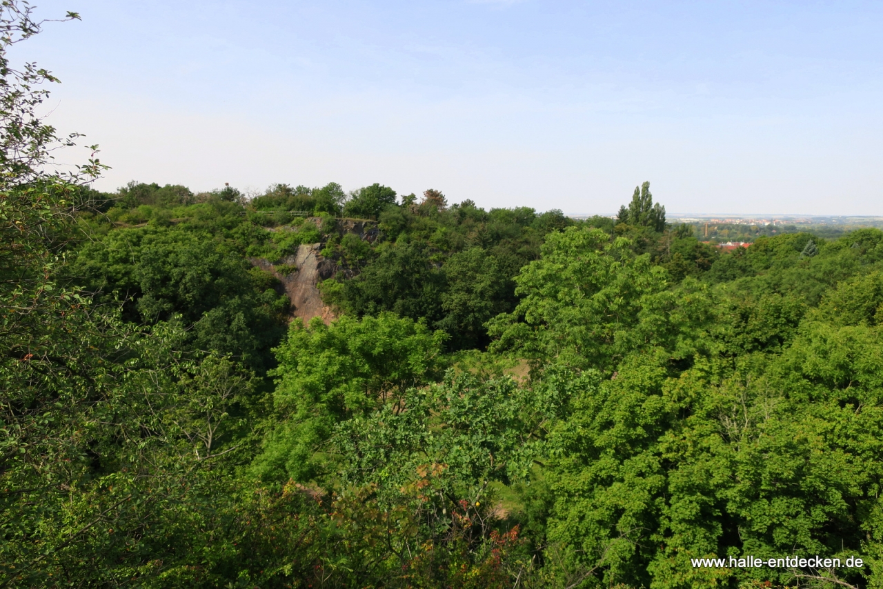 Ausblick oberhalb der Galgenbergschlucht in Halle