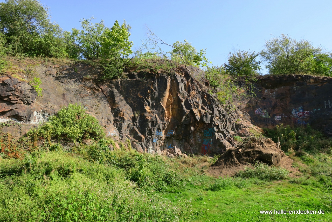 Ehemaliger Steinbruch auf dem Galgenberg. Viele der Steine wurden in der Stadt verbaut.