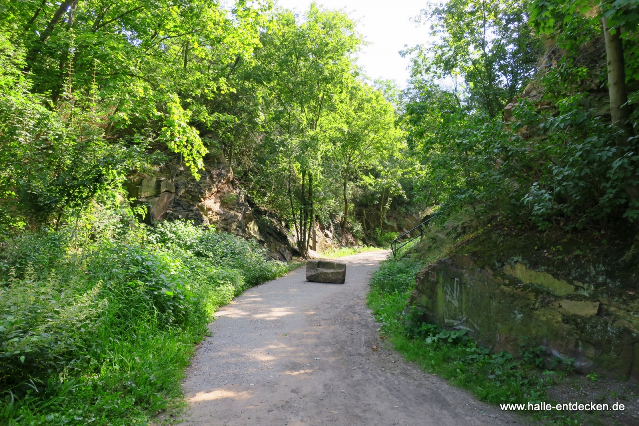 Zugang zur Galgenbergschlucht vom Unteren Galgenbergweg