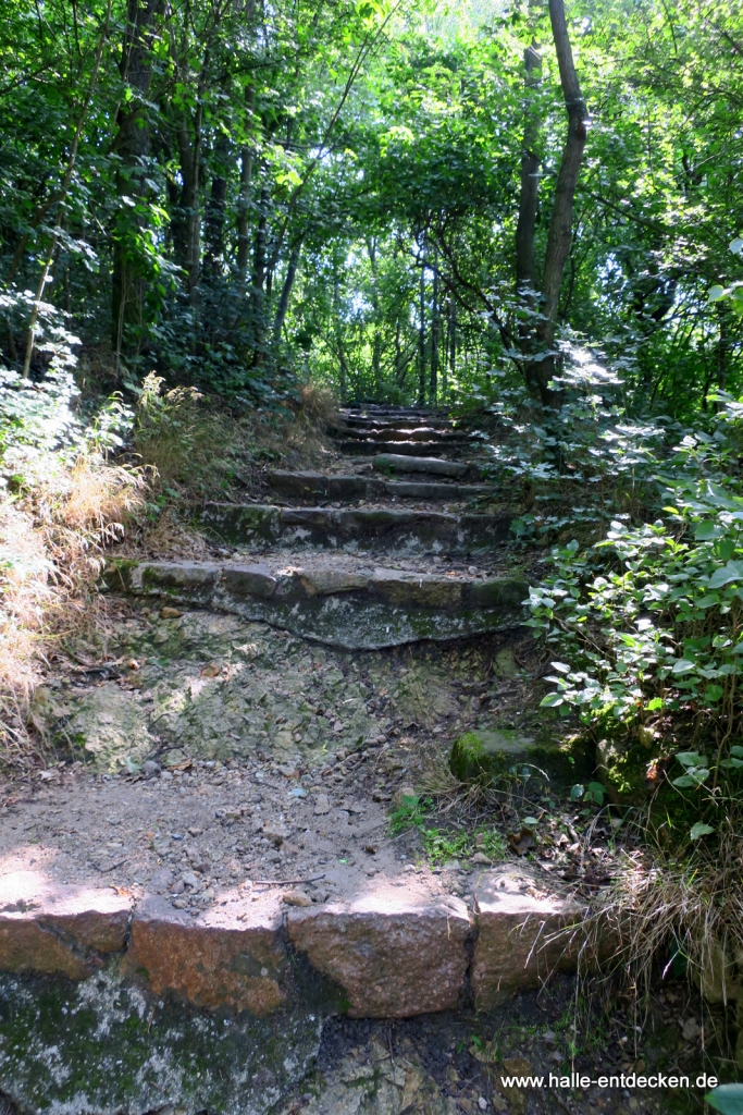 Auf dem Galgenberg gibt es auch schwierige Wege ...